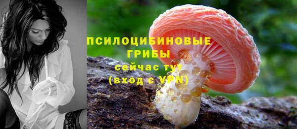 круглые Заводоуковск