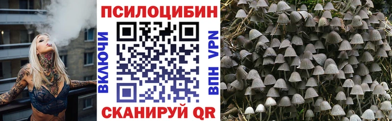 Псилоцибиновые грибы Cubensis  Купить  Печора 